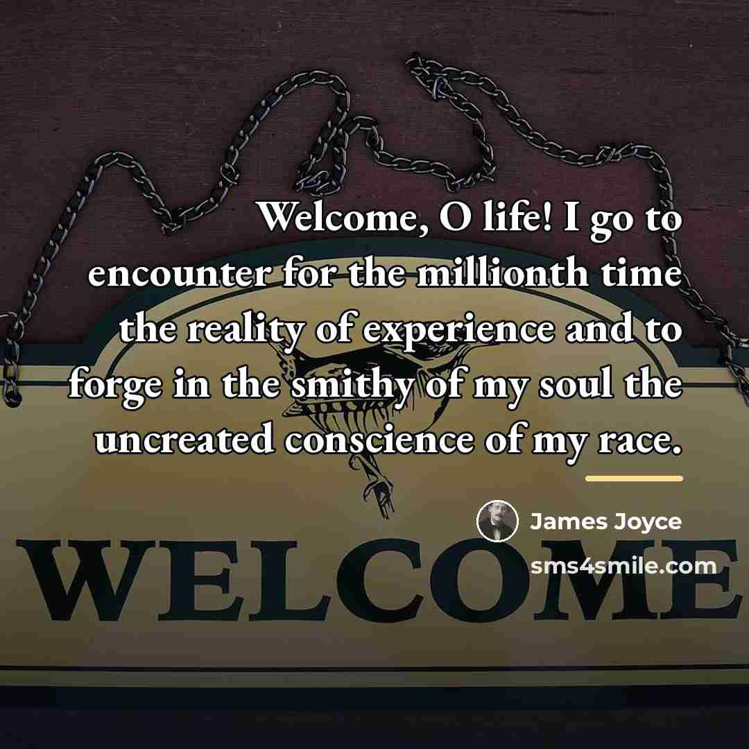 “Welcome, O life! I go to encounter for the millionth…” quote by James Joyce