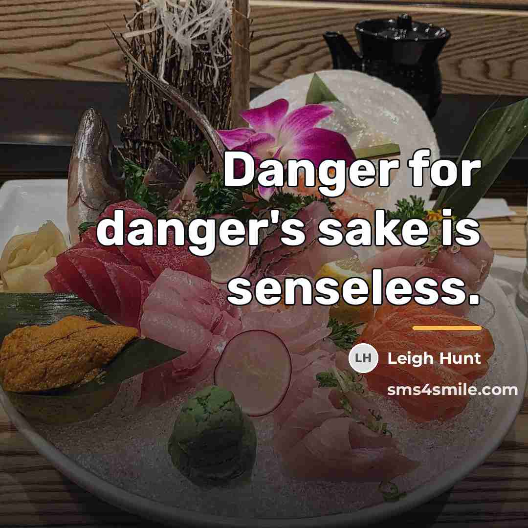 “Danger for danger's sake is senseless.…” quote by Leigh Hunt