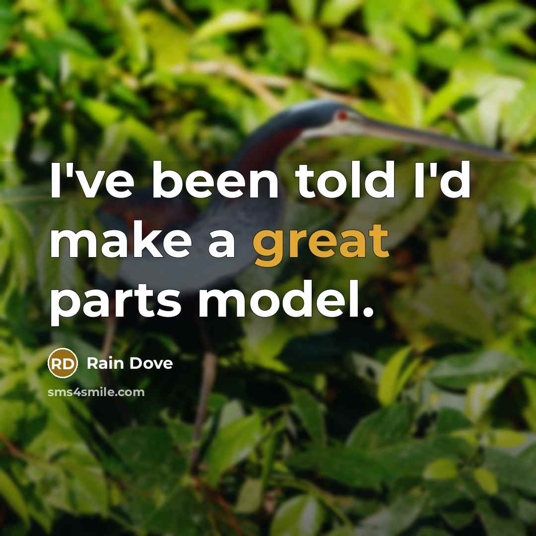 “I've been told I'd make a great parts model.…” quote by Rain Dove