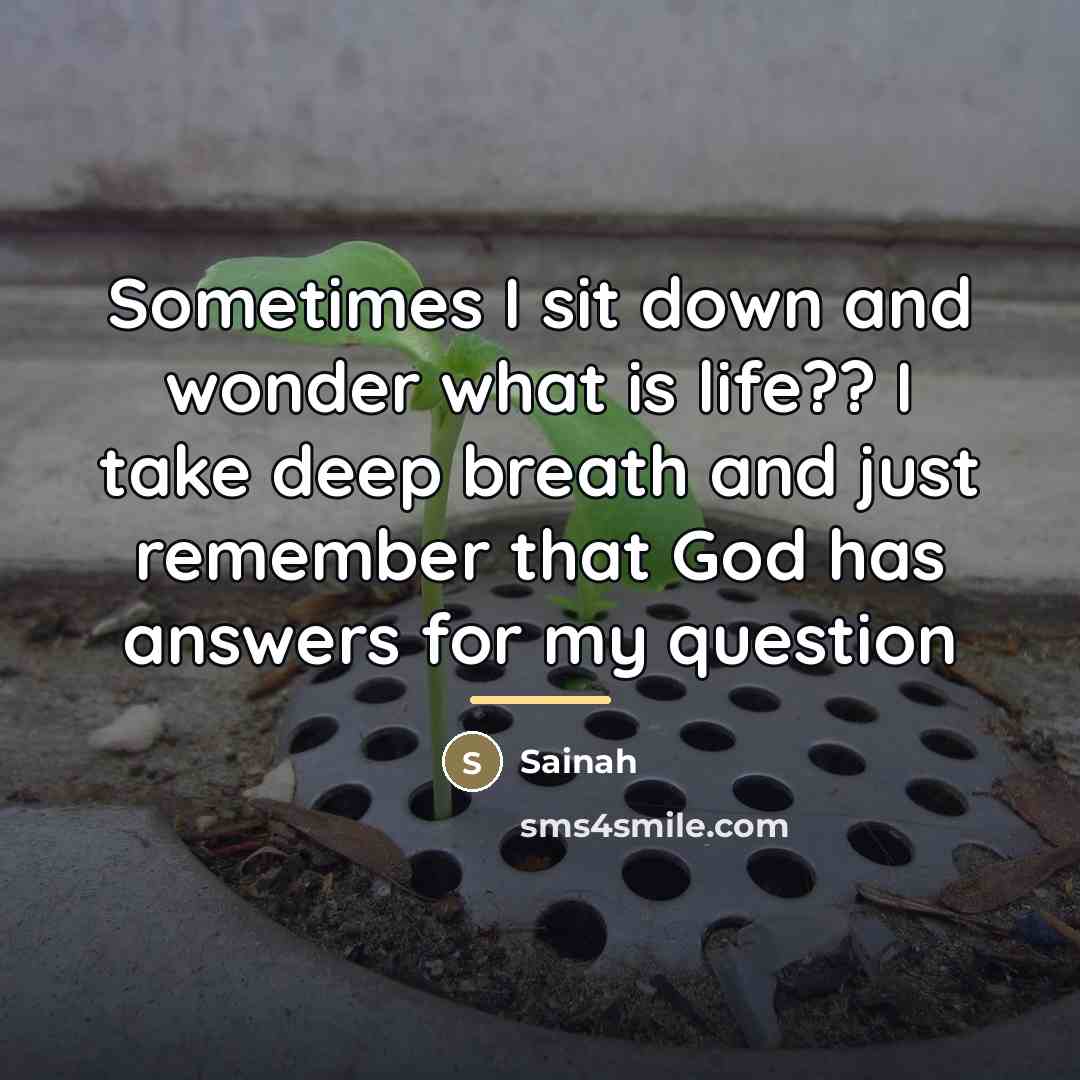 “Sometimes I sit down and wonder what is life?? I…” quote by Sainah