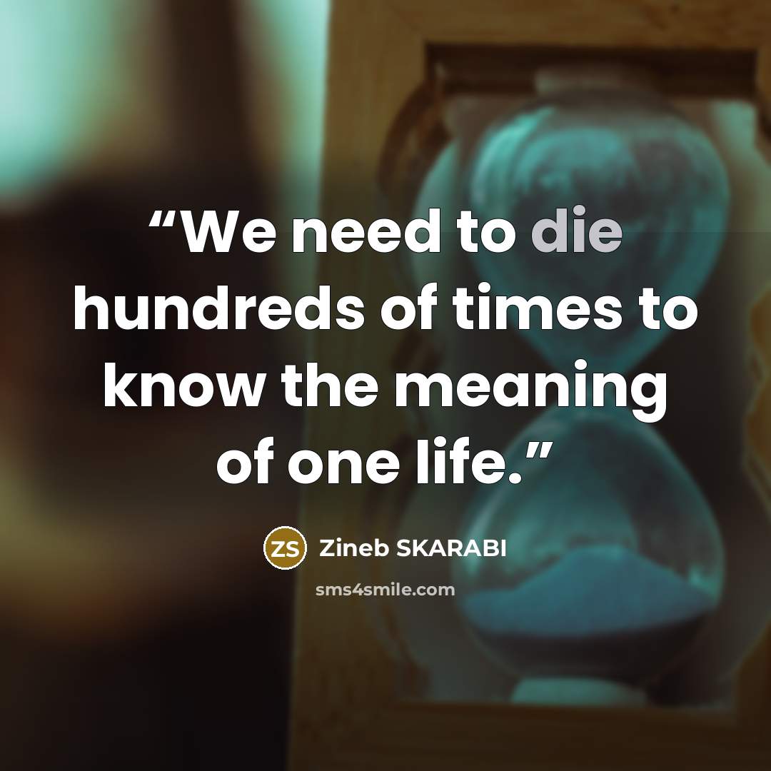 “We need to die hundreds of times to know the meaning of one life.” quote by Zineb Skarabi