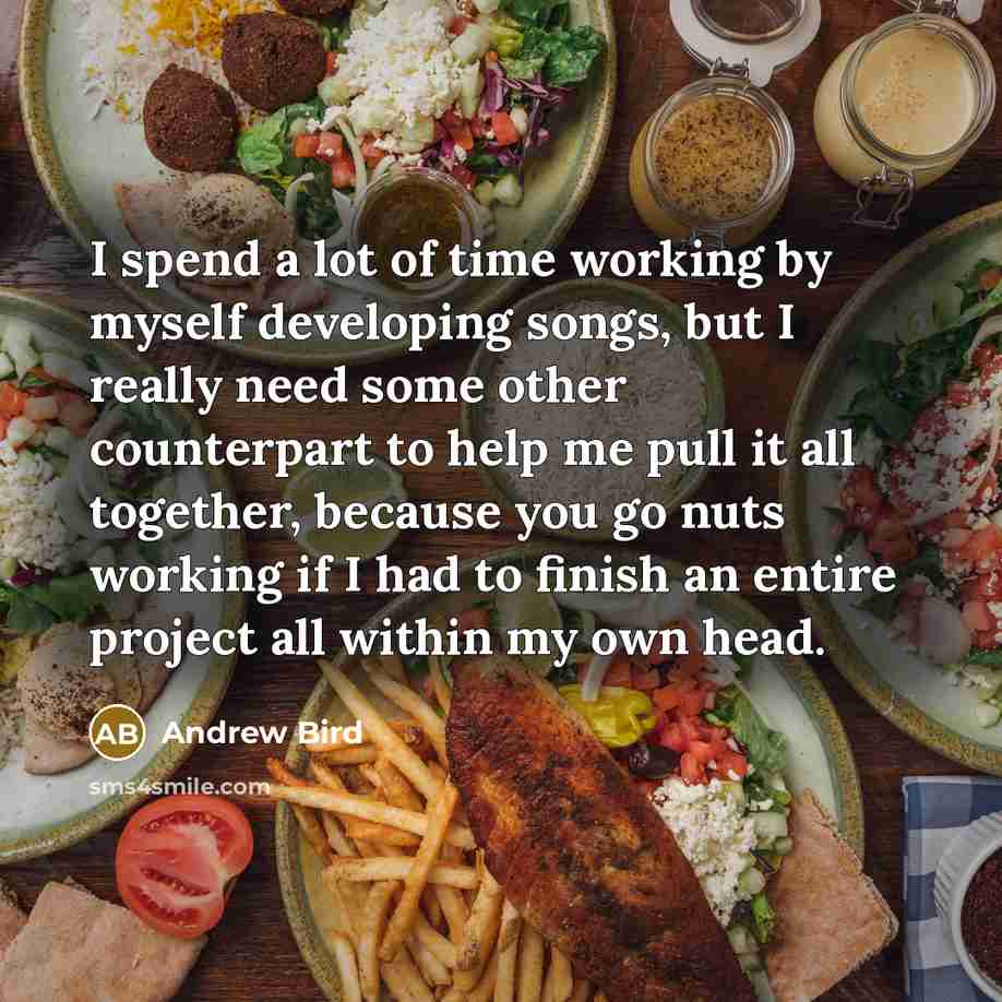 “I spend a lot of time working by myself developing…” quote by Andrew Bird