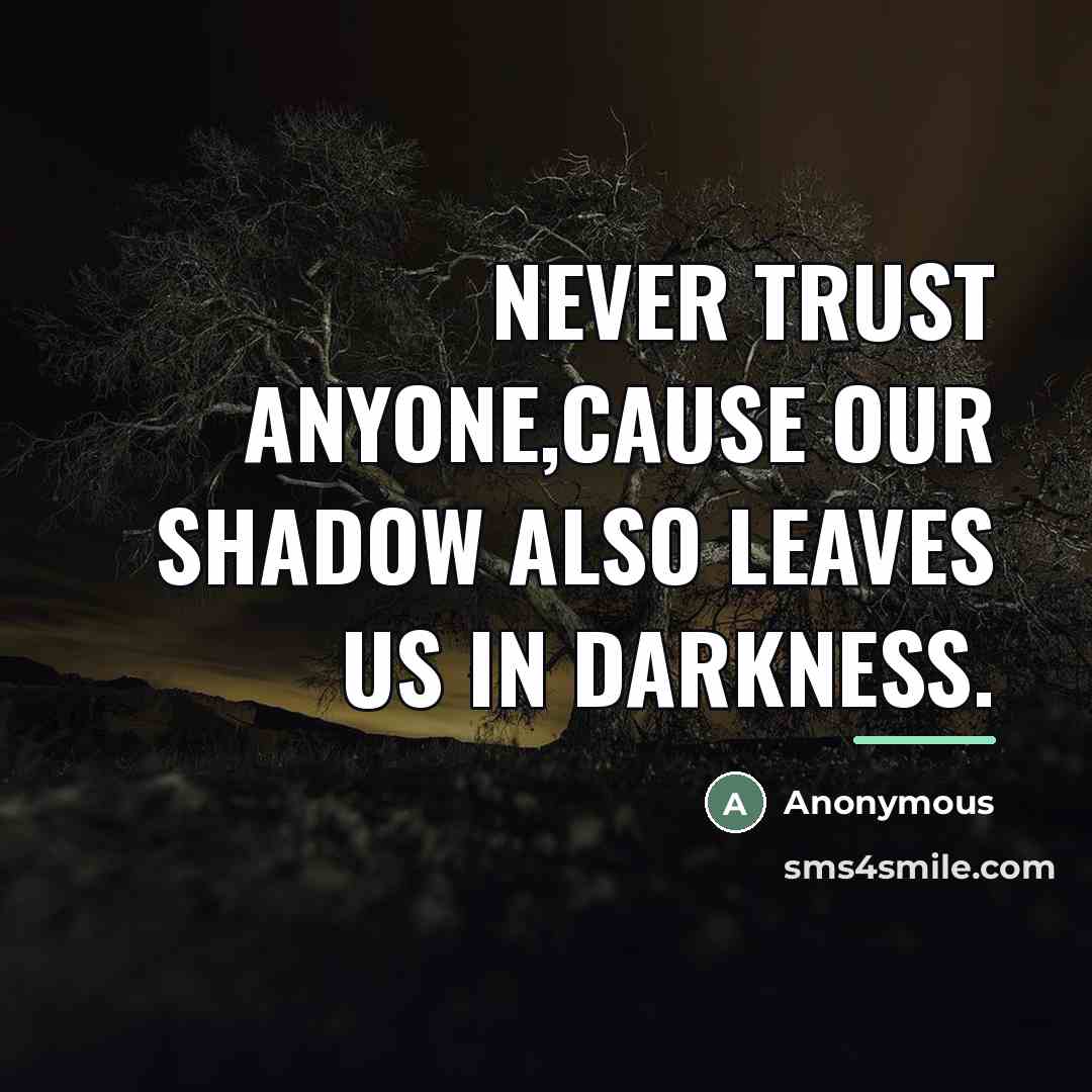“Never trust anyone,cause our shadow Also leaves us in darkness.…” quote by Anonymous
