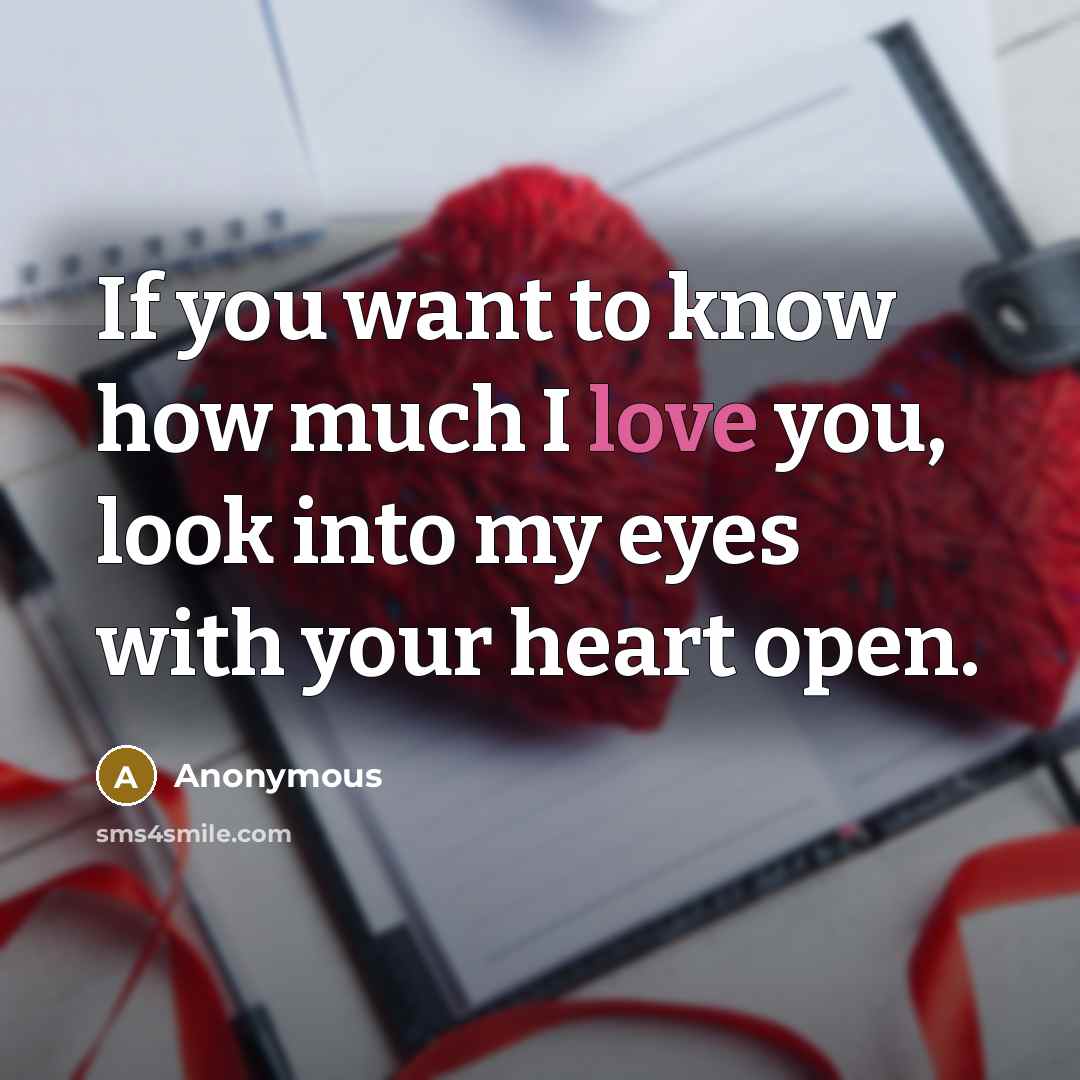 “If you want to know how much I love you,…” quote by Anonymous