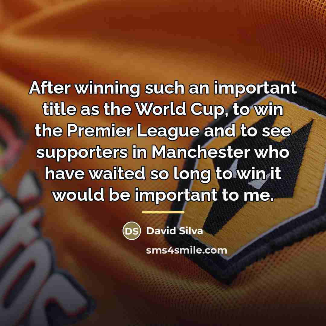 “After winning such an important title as the World Cup,…” quote by David Silva