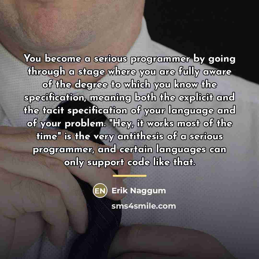“You become a serious programmer by going through a stage…” quote by Erik Naggum