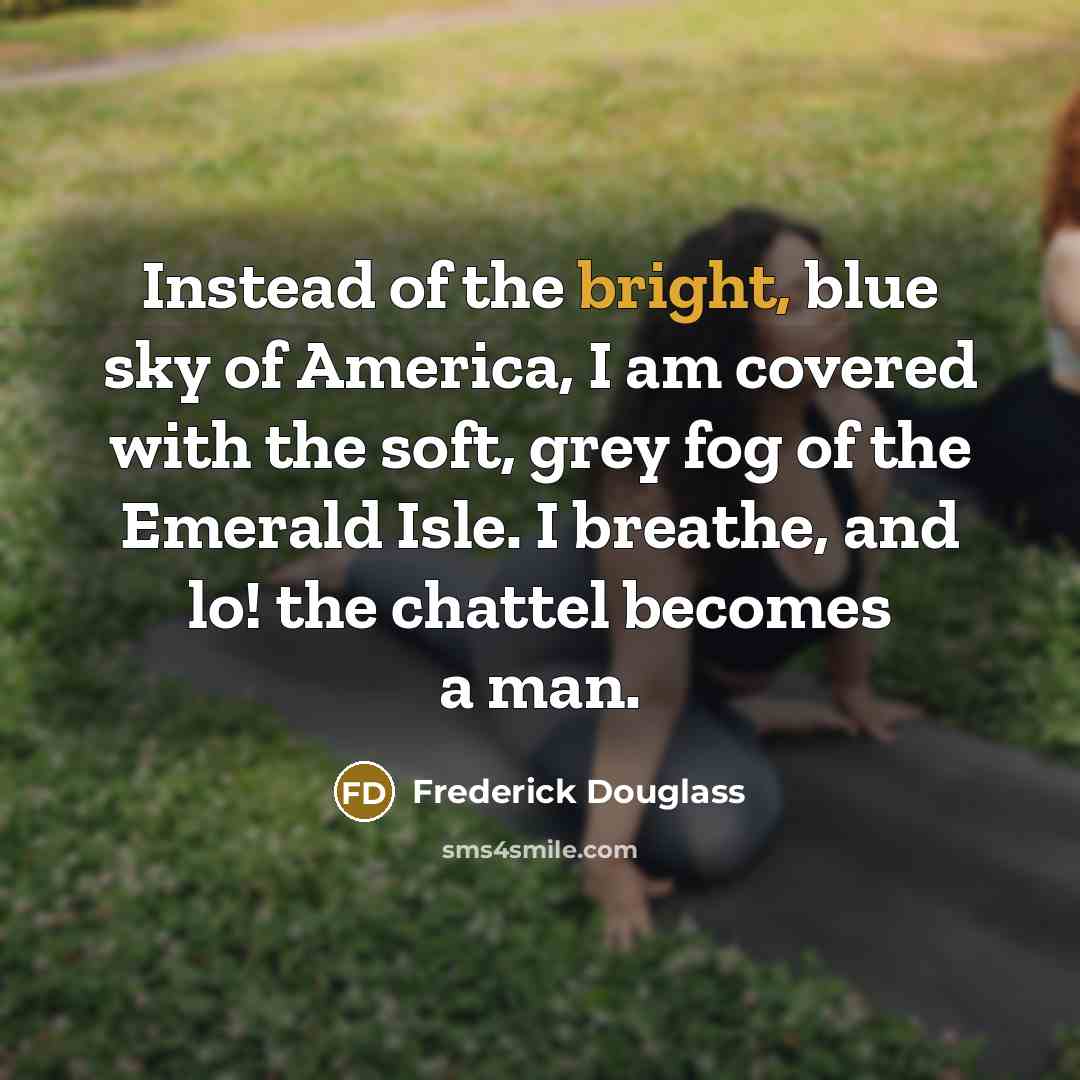 “Instead of the bright, blue sky of America, I am…” quote by Frederick Douglass