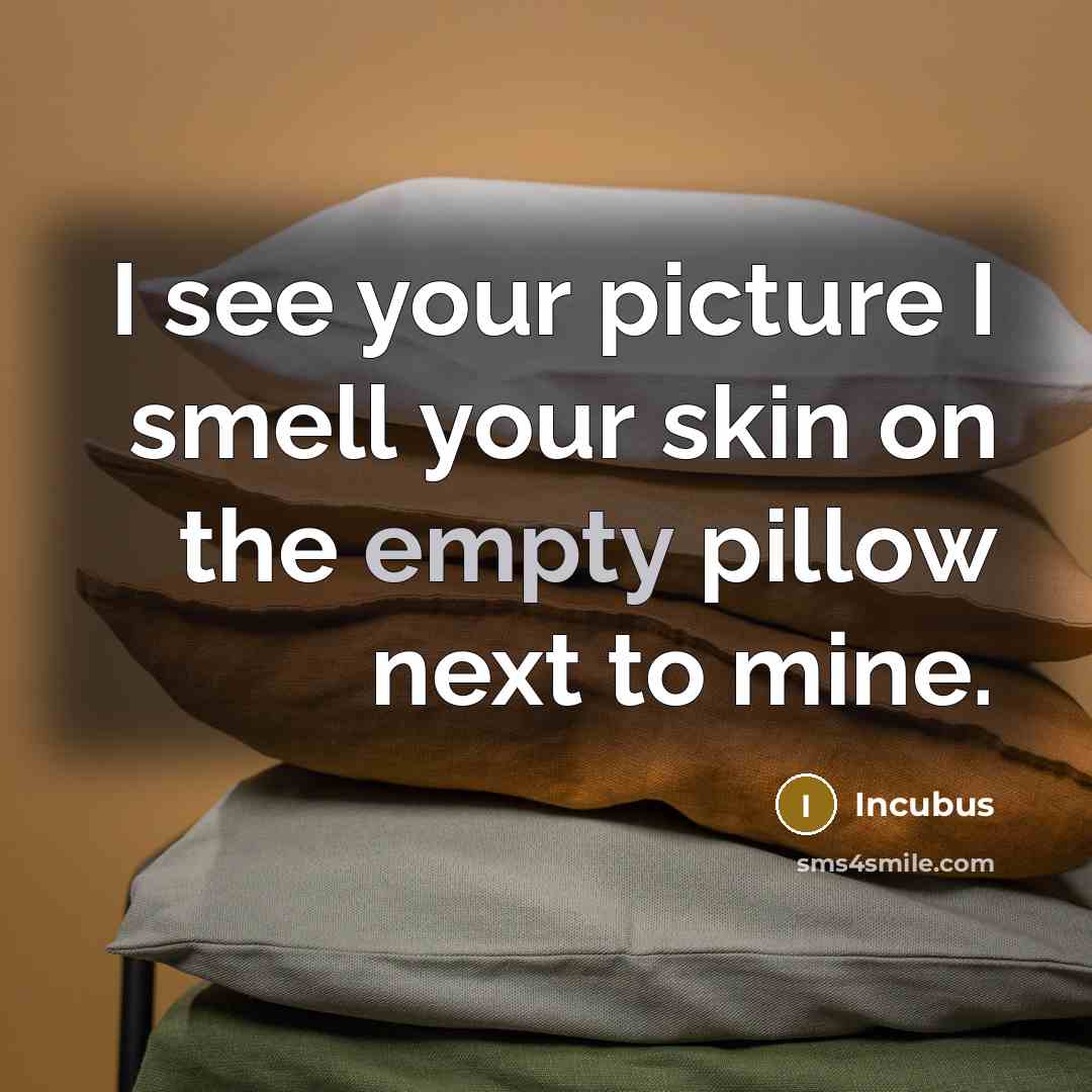“I see your picture I smell your skin on the…” quote by Incubus