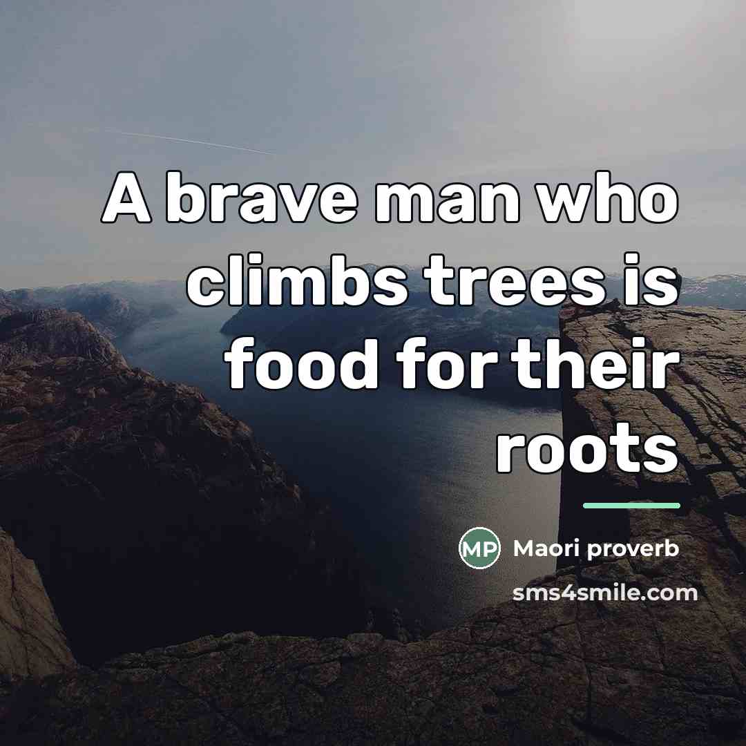 “A brave man who climbs trees is food for their…” quote by Maori Proverb