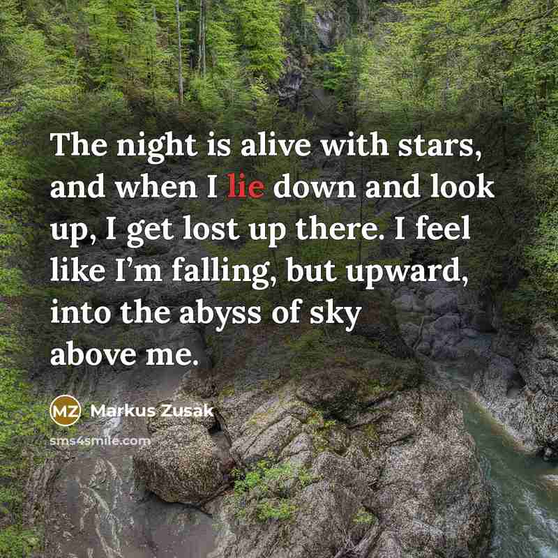 “The night is alive with stars, and when I lie…” quote by Markus Zusak