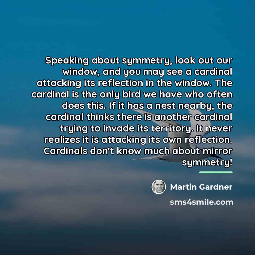 “Speaking about symmetry, look out our window, and you may…” quote by Martin Gardner