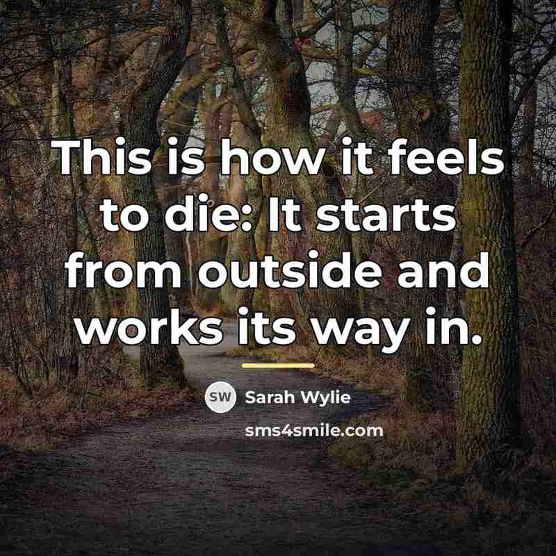 “This is how it feels to die: It starts from…” quote by Sarah Wylie