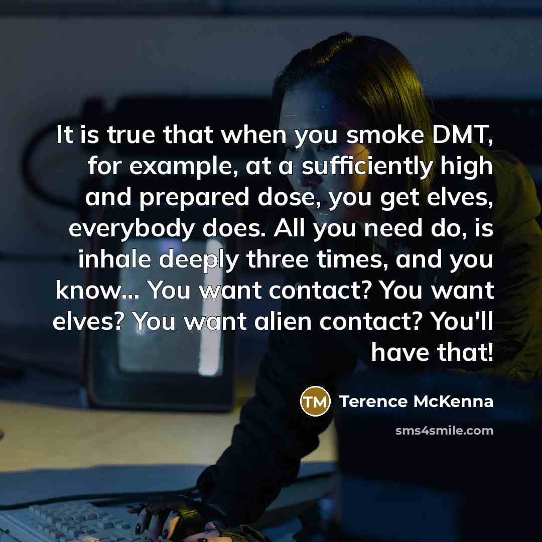 “It is true that when you smoke DMT, for example,…” quote by Terence McKenna