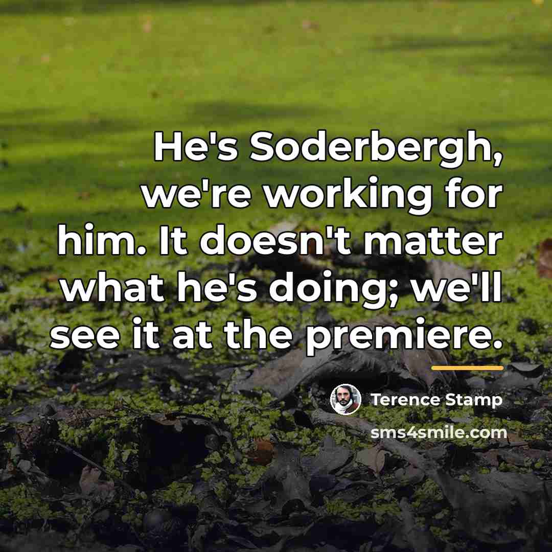 “He's Soderbergh, we're working for him. It doesn't matter what…” quote by Terence Stamp