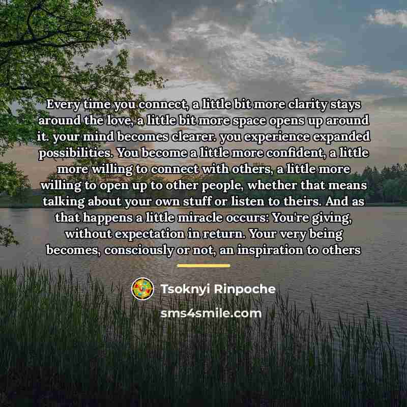 “Every time you connect, a little bit more clarity stays…” quote by Tsoknyi Rinpoche