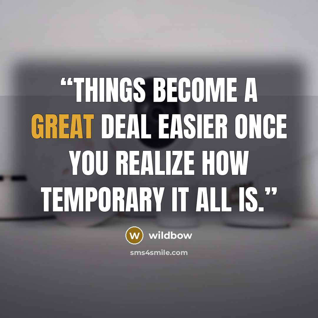 “Things become a great deal easier once you realize how temporary it all is.” quote by wildbow