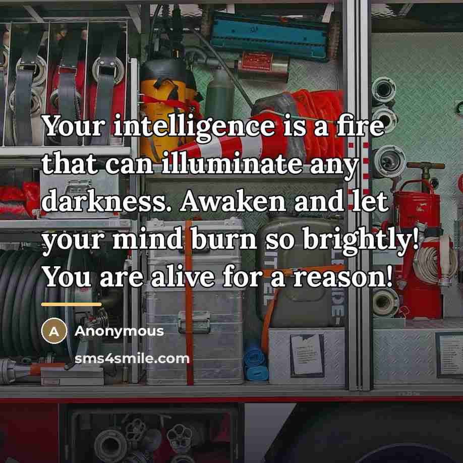 “Your intelligence is a fire that can illuminate any darkness.…” quote by Anonymous