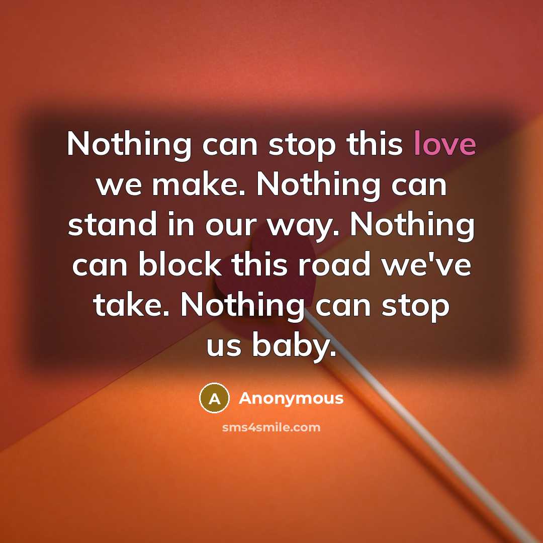 “Nothing can stop this love we make. Nothing can stand in our way. Nothing can block this road we've take. Nothing can stop us baby.” quote by Anonymous