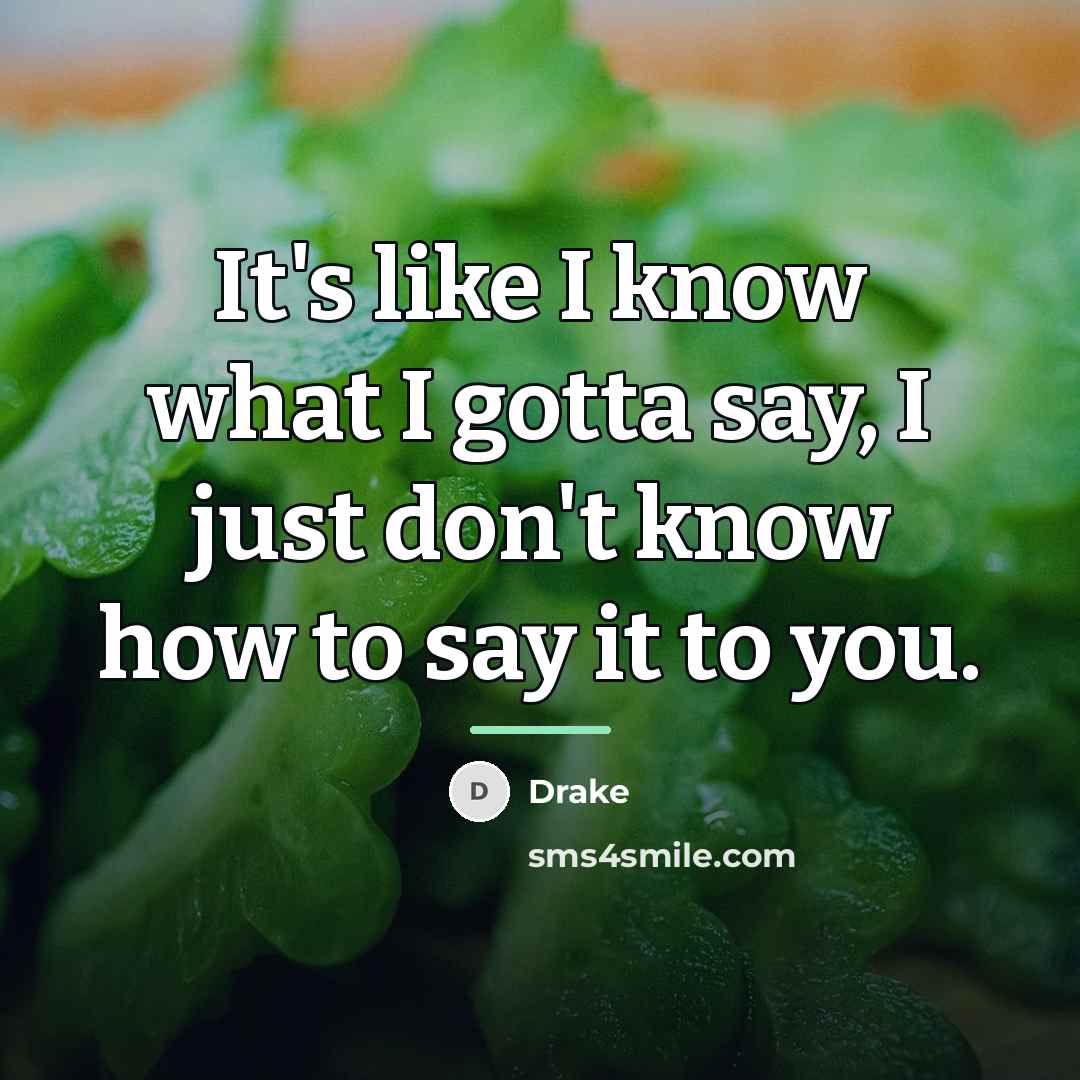 “It's like I know what I gotta say, I just…” quote by Drake