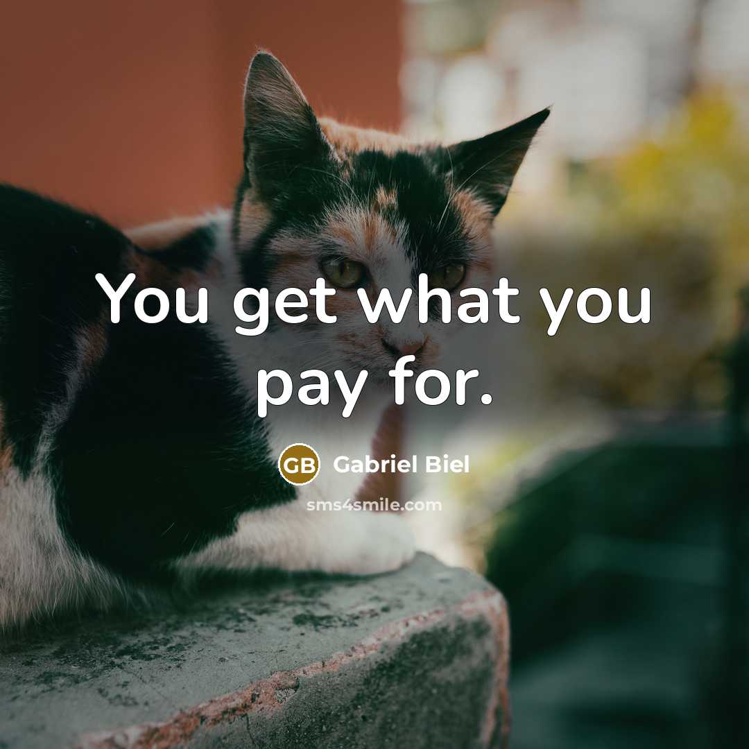 “You get what you pay for.…” quote by Gabriel Biel