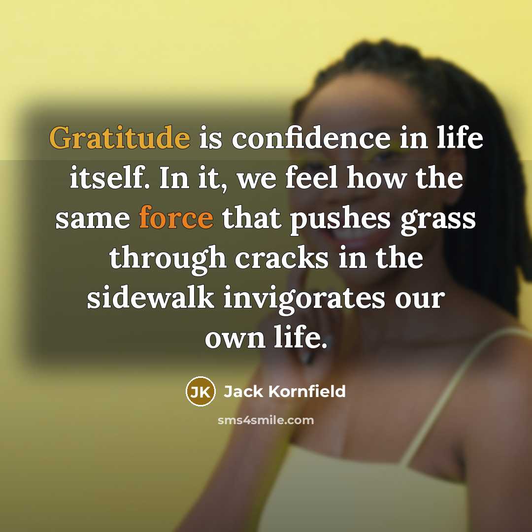 “Gratitude is confidence in life itself. In it, we feel…” quote by Jack Kornfield