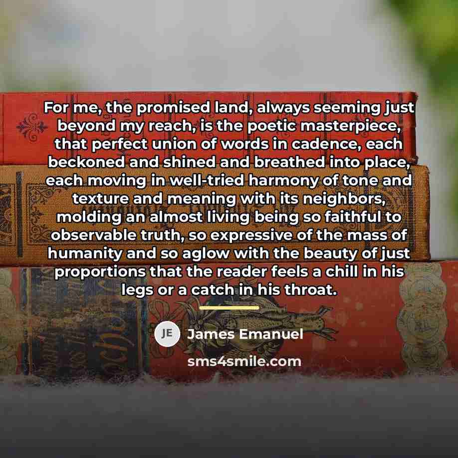 “For me, the promised land, always seeming just beyond my…” quote by James Emanuel