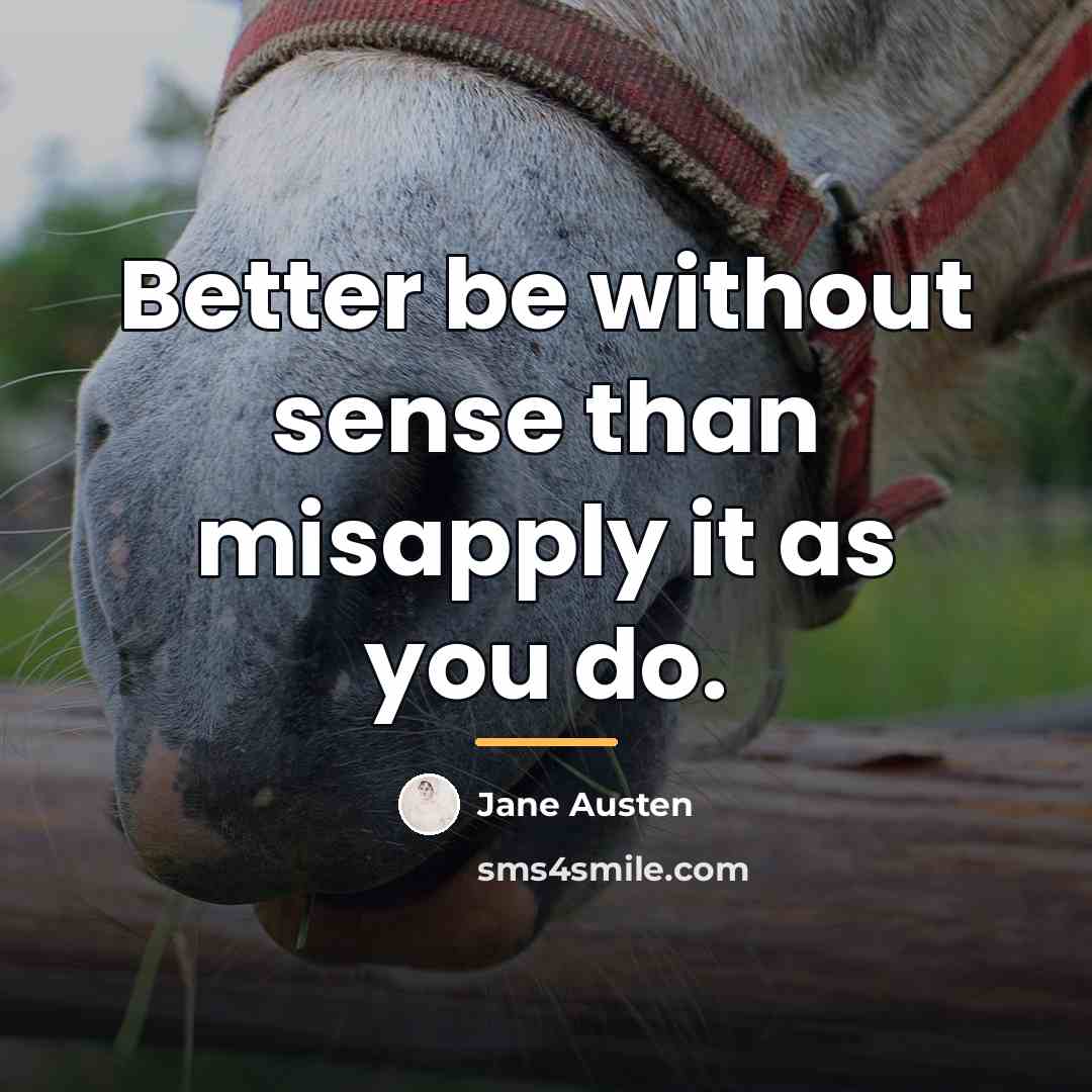 “Better be without sense than misapply it as you do.…” quote by Jane Austen