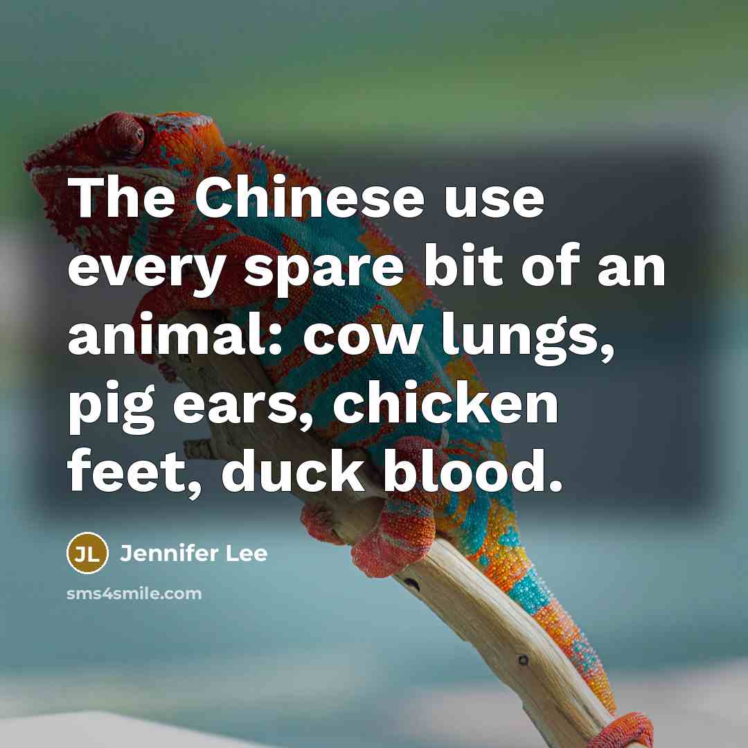 “The Chinese use every spare bit of an animal: cow…” quote by Jennifer Lee