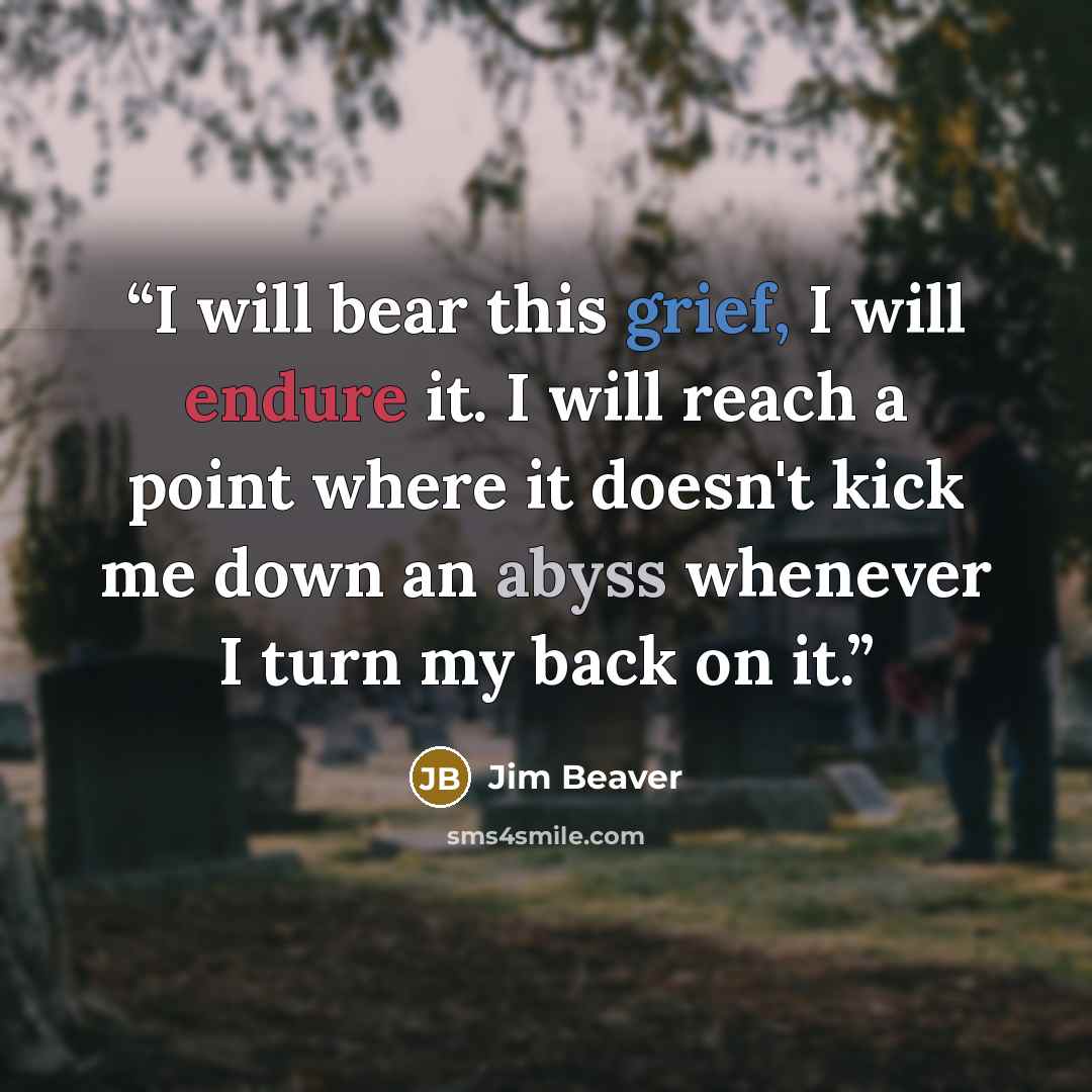 “I will bear this grief, I will endure it. I will reach a point where it doesn't kick me down an abyss whenever I turn my back on it.” quote by Jim Beaver