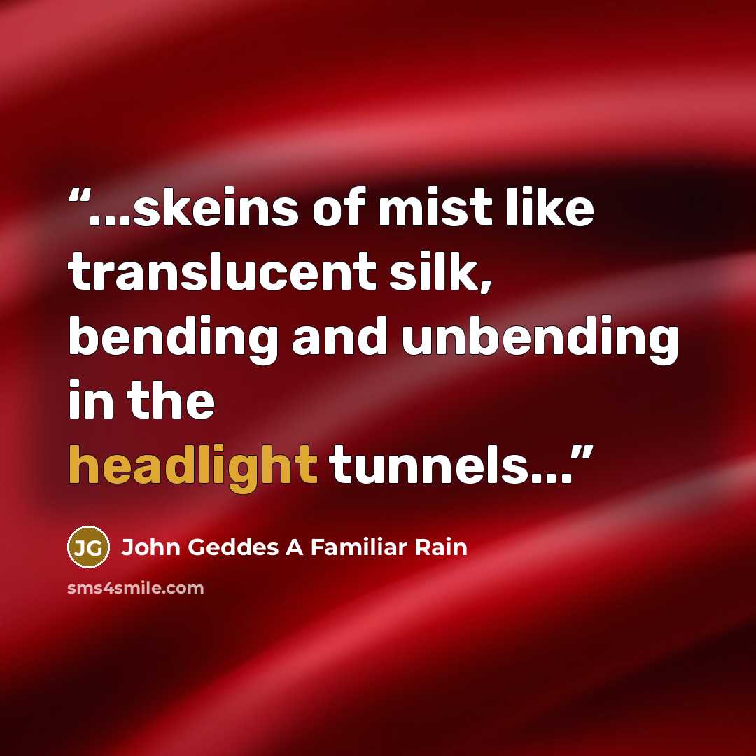 “...skeins of mist like translucent silk, bending and unbending in the headlight tunnels...” quote by John Geddes A Familiar Rain