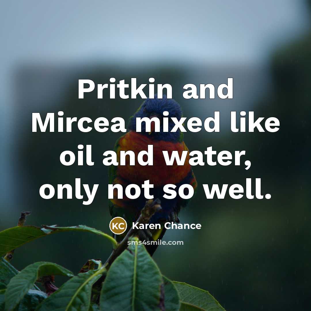 “Pritkin and Mircea mixed like oil and water, only not so well.” quote by Karen Chance