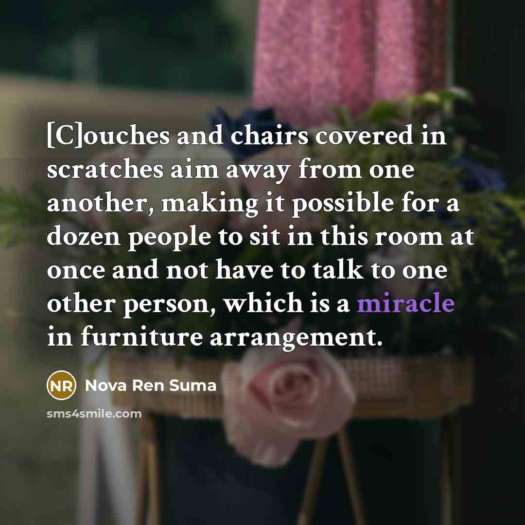 “[C]ouches and chairs covered in scratches aim away from one…” quote by Nova Ren Suma