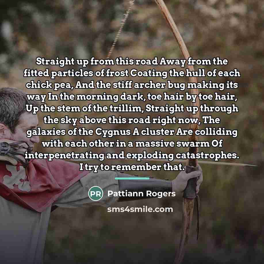 “Straight up from this road Away from the fitted particles…” quote by Pattiann Rogers