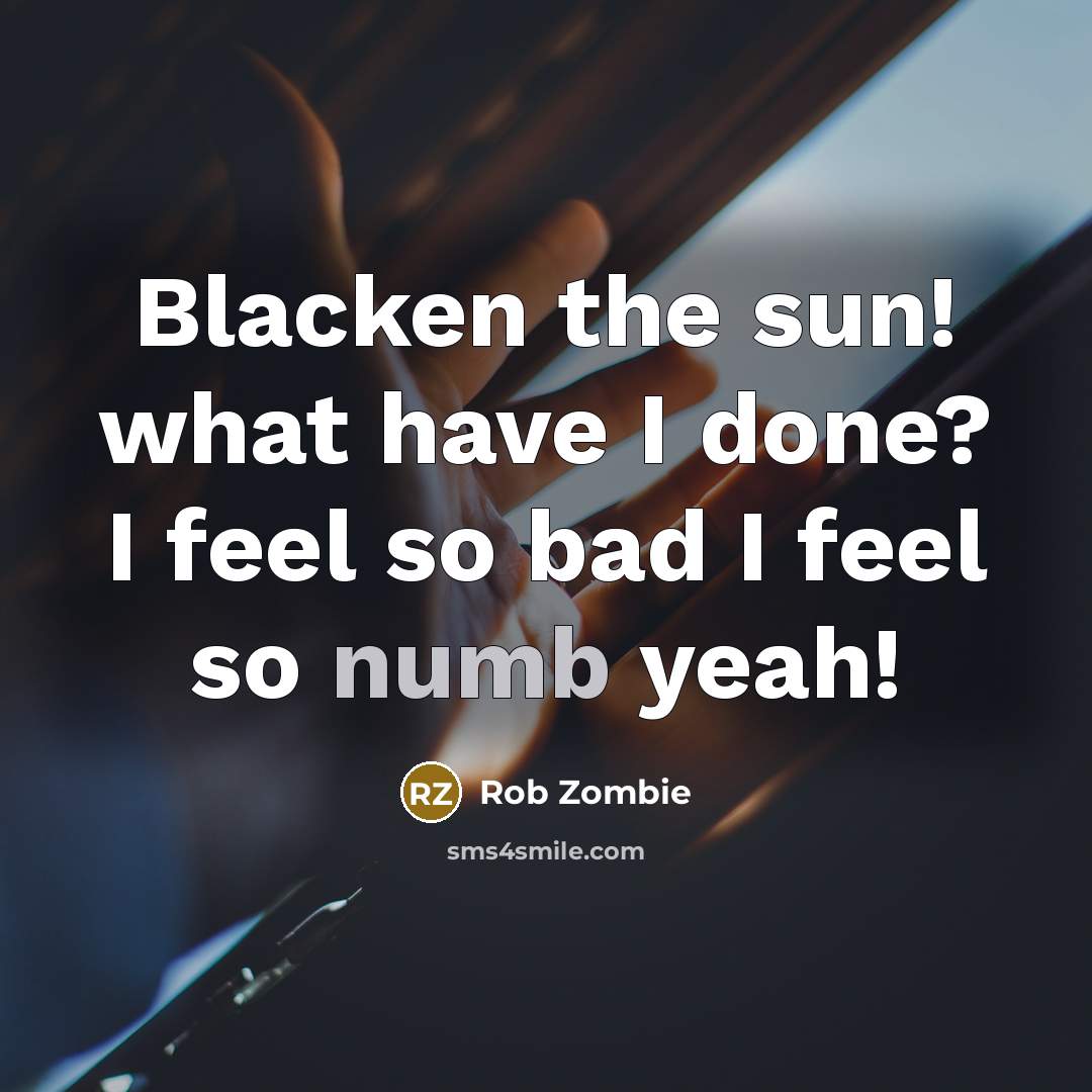 “Blacken the sun! what have I done? I feel so bad I feel so numb yeah!” quote by Rob Zombie