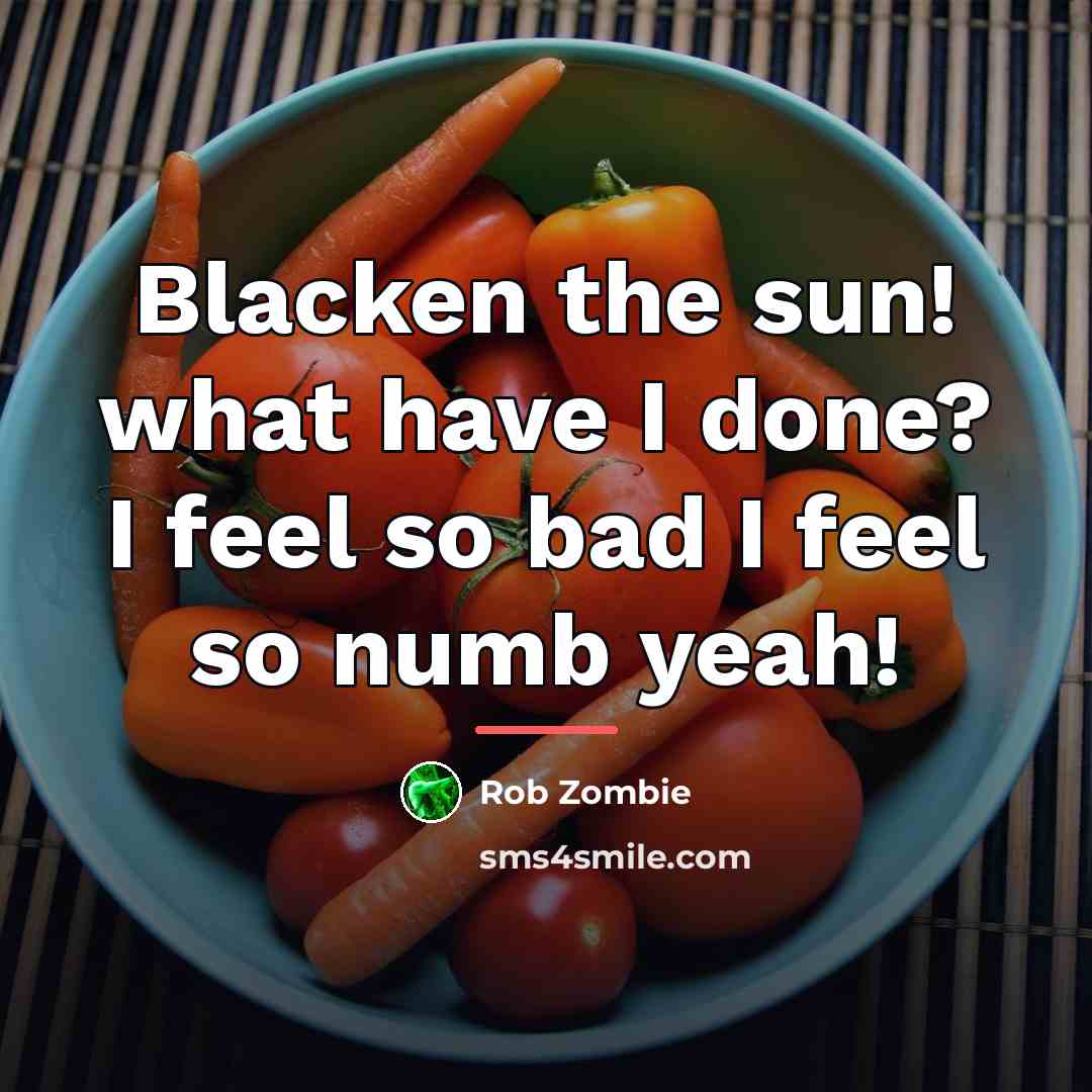 “Blacken the sun! what have I done? I feel so…” quote by Rob Zombie