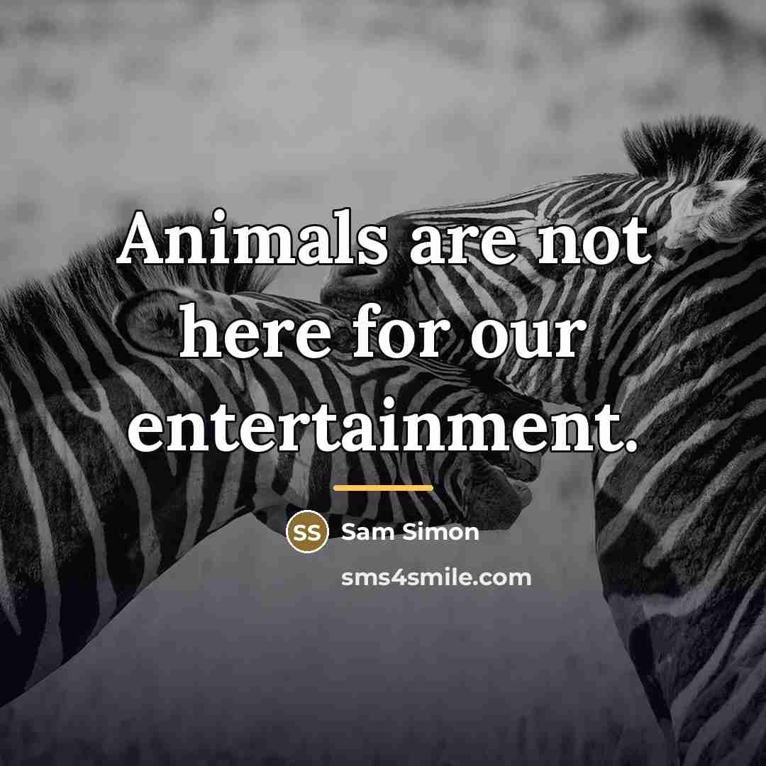 “Animals are not here for our entertainment.…” quote by Sam Simon
