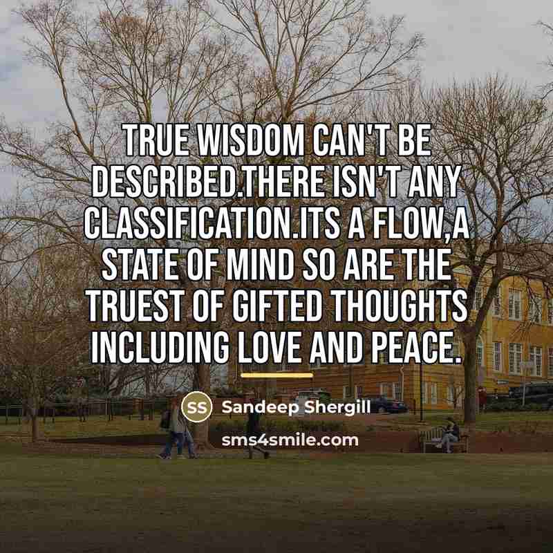 “True Wisdom can't be described.There isn't any classification.Its a Flow,a…” quote by Sandeep Shergill
