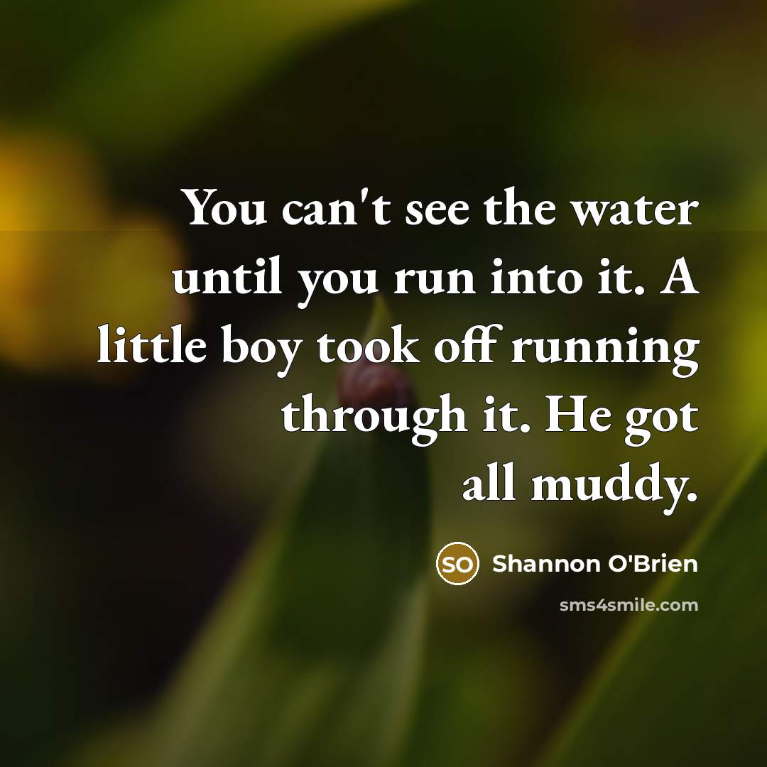 “You can't see the water until you run into it.…” quote by Shannon O'Brien