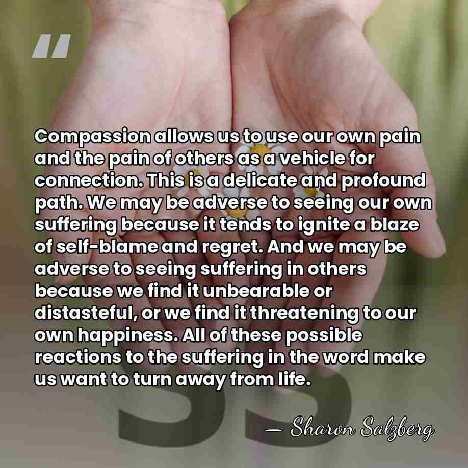 Compassion allows us to use our own pain and the pain of&hellip; - Sharon Salzberg