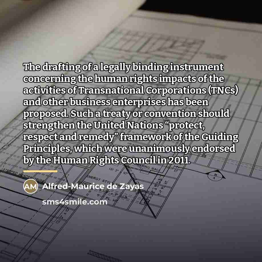 “The drafting of a legally binding instrument concerning the human…” quote by Alfred-Maurice de Zayas
