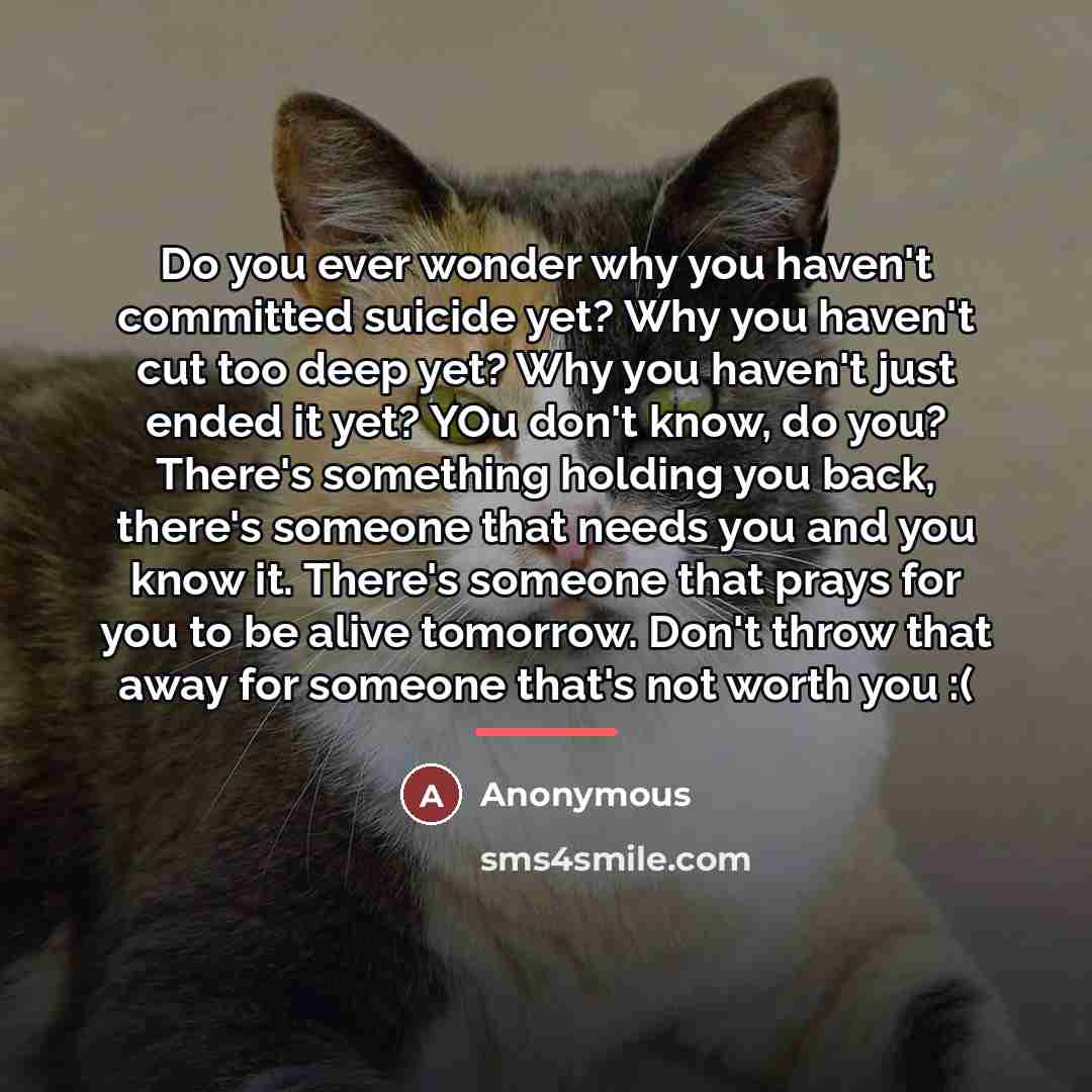 “Do you ever wonder why you haven't committed suicide yet?…” quote by Anonymous