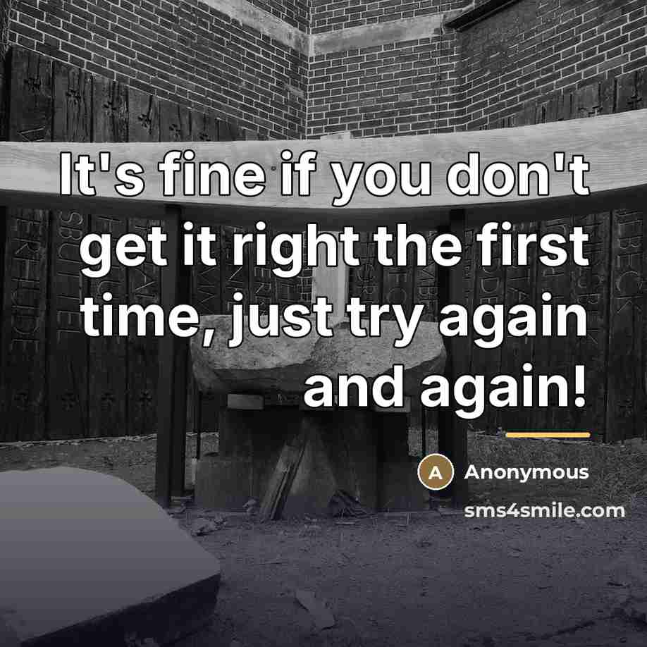 “It's fine if you don't get it right the first…” quote by Anonymous