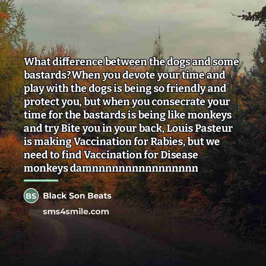 “What difference between the dogs and some bastards?When you devote…” quote by Black Son Beats