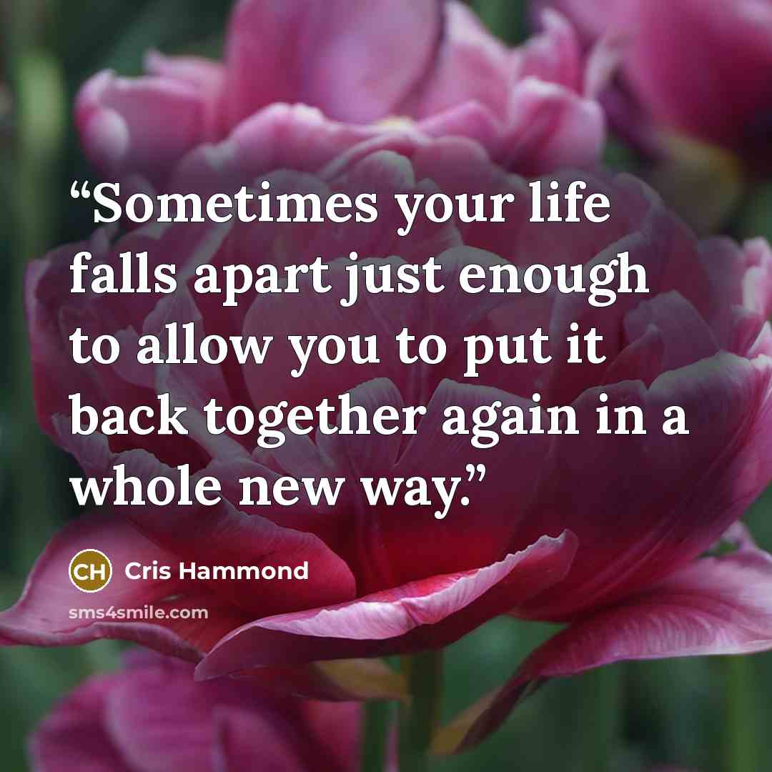 “Sometimes your life falls apart just enough to allow you to put it back together again in a whole new way.” quote by Cris Hammond