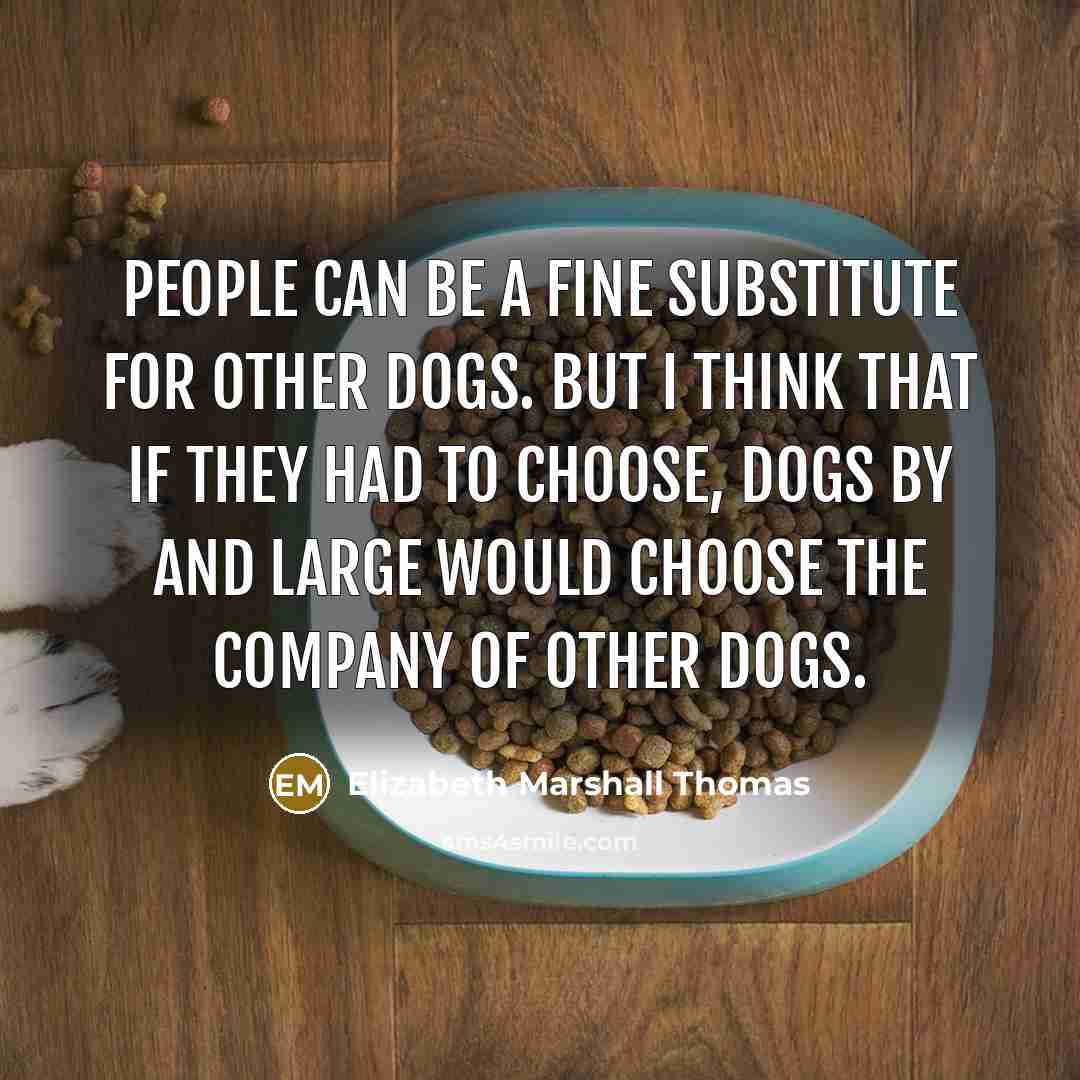 “People can be a fine substitute for other dogs. But I think that if they had to choose, dogs by and large would choose the company of other dogs.” quote by Elizabeth Marshall Thomas
