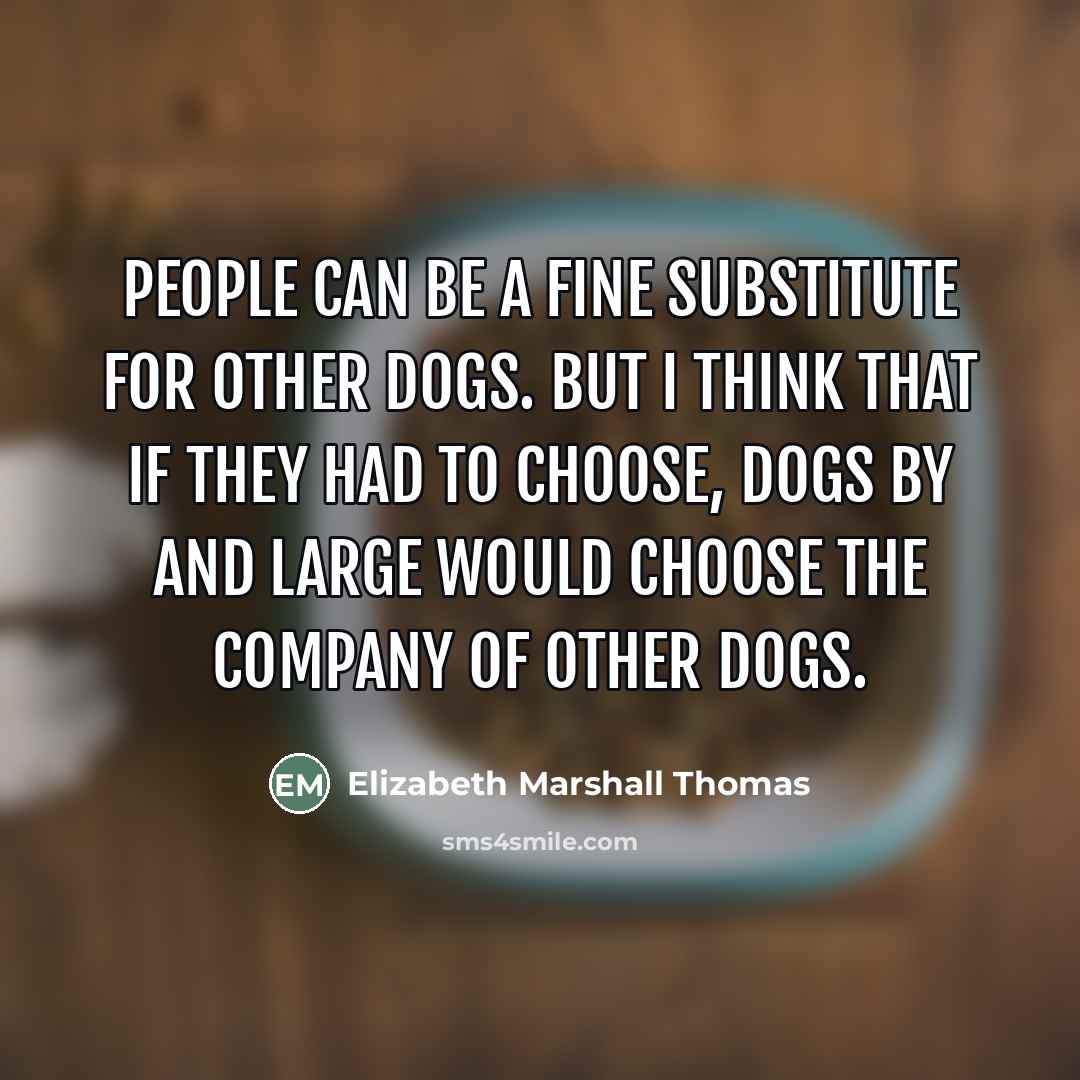 “People can be a fine substitute for other dogs. But…” quote by Elizabeth Marshall Thomas