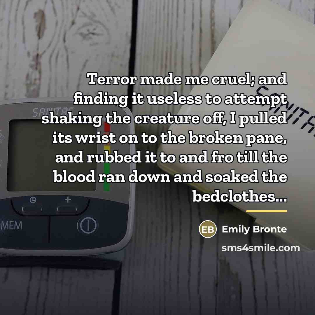 “Terror made me cruel; and finding it useless to attempt…” quote by Emily Bronte