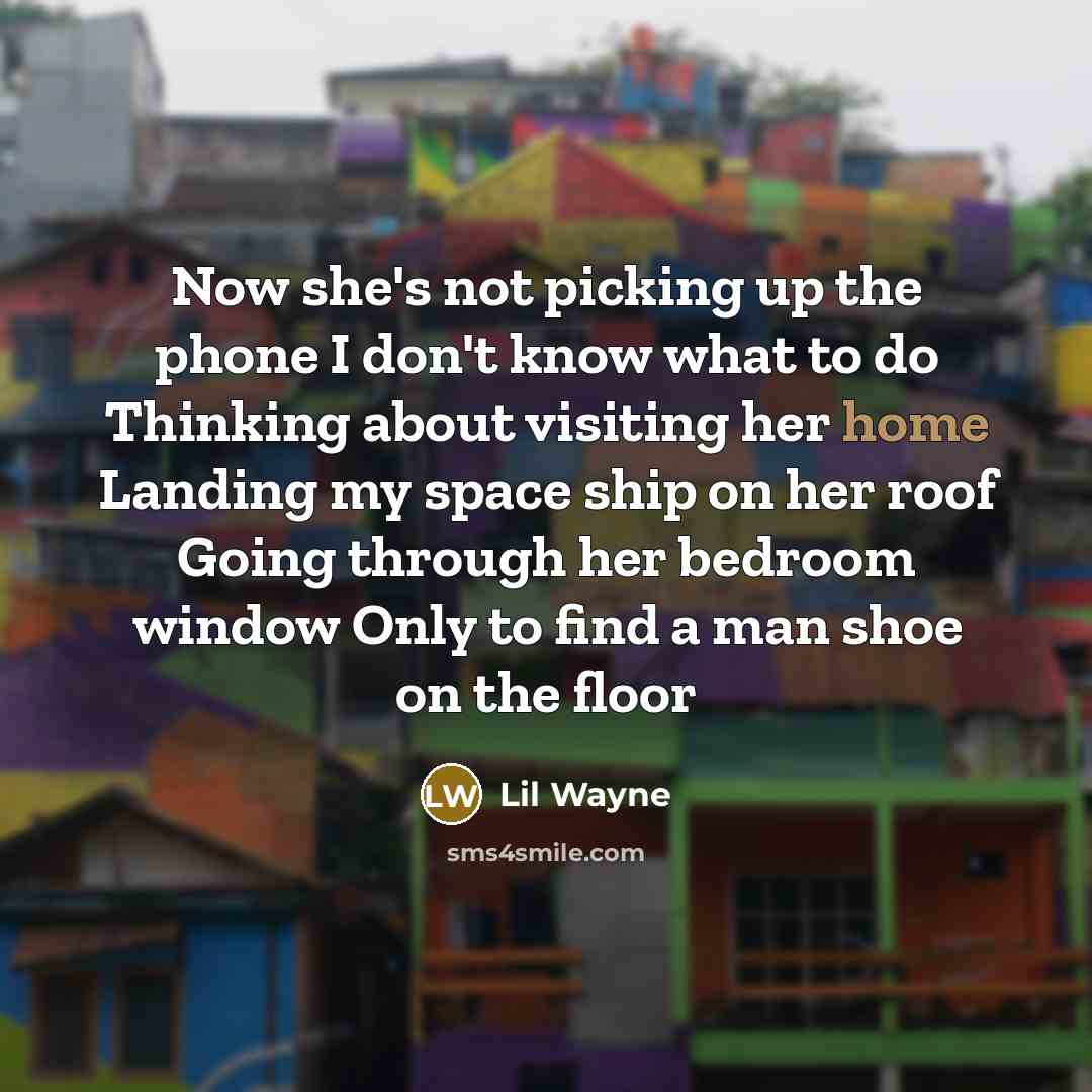 “Now she's not picking up the phone I don't know what to do Thinking about visiting her home Landing my space ship on her roof Going through her bedroom window Only to find a man shoe on the floor” quote by Lil Wayne