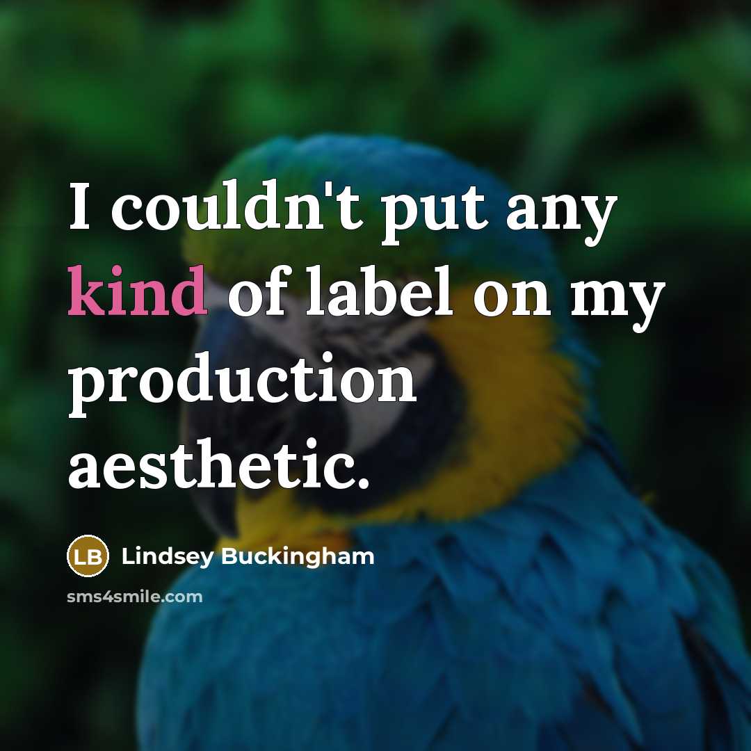 “I couldn't put any kind of label on my production…” quote by Lindsey Buckingham