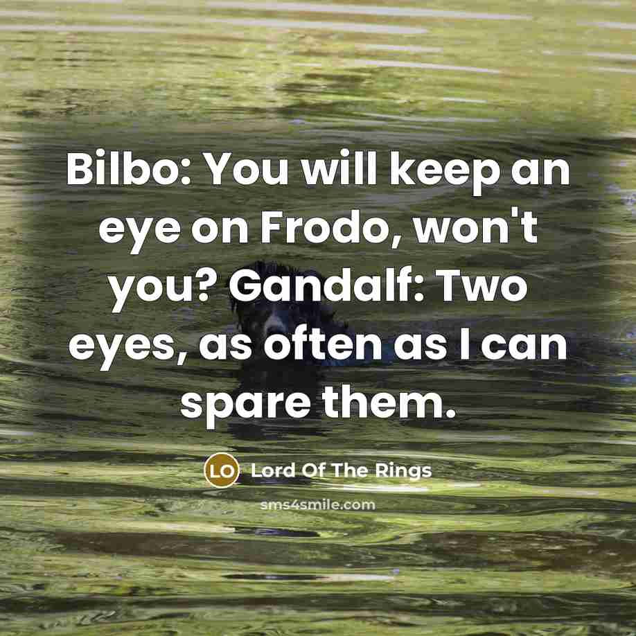 “Bilbo: You will keep an eye on Frodo, won't you? Gandalf: Two eyes, as often as I can spare them.” quote by Lord Of The Rings